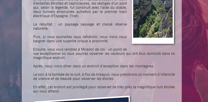 vignette-7